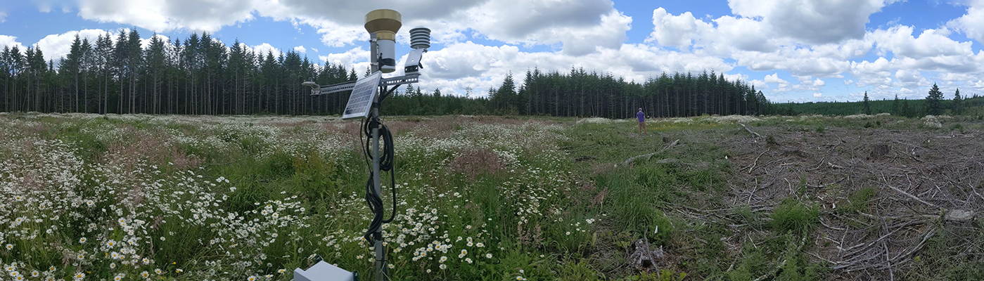 panoramic view of a study area with monitoring station